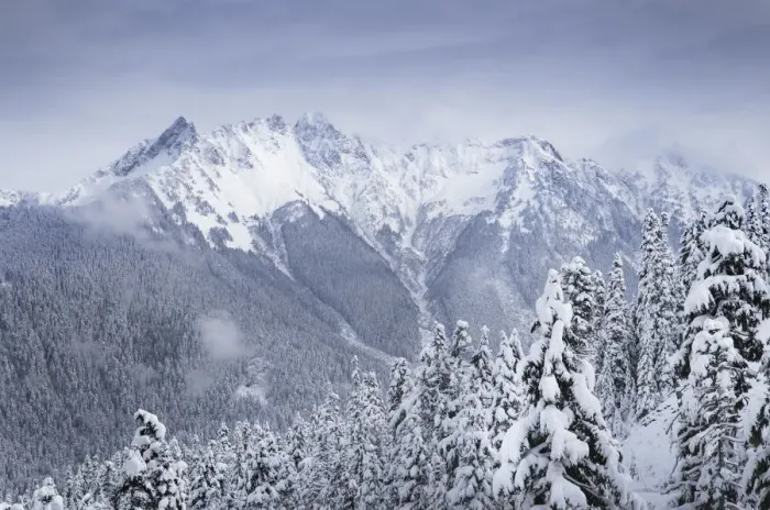 Framed Print : North Cascades after fresh snowfall. Mount Sefrit and Nooksack Ridge in the distance Framed Print : North Cascades after fresh snowfall. Mount Sefrit and Nooksack Ridge in the distance