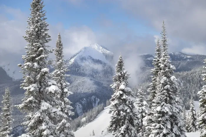 Framed Print : North Cascades in fresh winter snow. Manning Provincial Park, British Columbia Framed Print : North Cascades in fresh winter snow. Manning Provincial Park, British Columbia