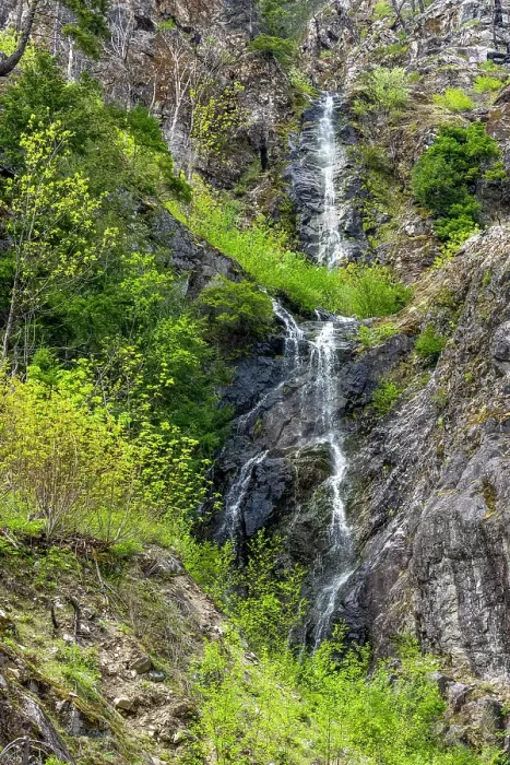 Framed Print : North Cascades National Park, Washington State, USA. Waterfalls in springtime, with trees and shrubs clinging to the steep granite cliff Framed Print : North Cascades National Park, Washington State, USA. Waterfalls in springtime, with trees and shrubs clinging to the steep granite cliff