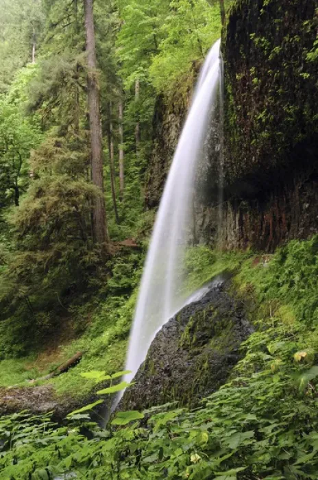 Framed Print : North Falls, Silver Falls State Park, Oregon, USA