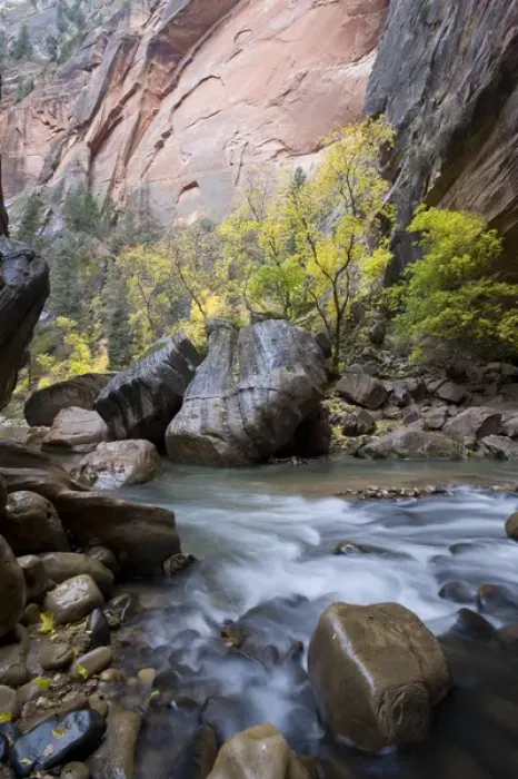 Framed Print : North Fork of Virgin River, Gates of the Narrows, Zion National Park, Utah, Box Framed Print : North Fork of Virgin River, Gates of the Narrows, Zion National Park, Utah, Box