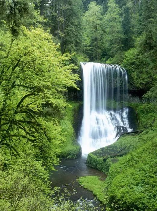 Framed Print : North-Middle Falls, Silver Falls State Park, Oregon Framed Print : North-Middle Falls, Silver Falls State Park, Oregon