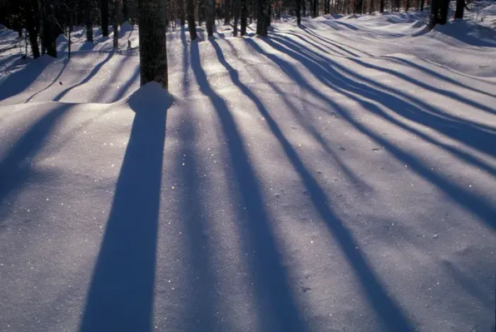 Framed Print : North New Portland, ME. Snow. Shadows. Northern Hardwood Forest. Northern Forest Framed Print : North New Portland, ME. Snow. Shadows. Northern Hardwood Forest. Northern Forest
