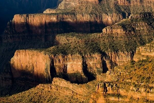 North Rim, Grand Canyon National Park, Arizona