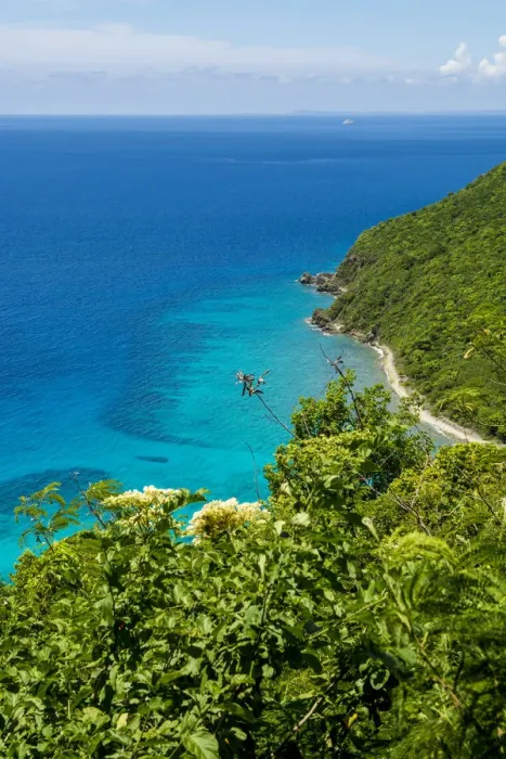 Framed Print : North Shore around Hull Bay, St. Thomas, US Virgin Islands Framed Print : North Shore around Hull Bay, St. Thomas, US Virgin Islands