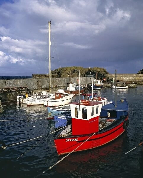 Northern Ireland, County Antrim, Portrush. Colorful boats are moored at the harbor at Portrush, Co