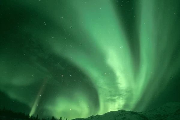 Northern lights, Aurora borealis, over foothills of Brooks range, Arctic National Wildlife Refuge