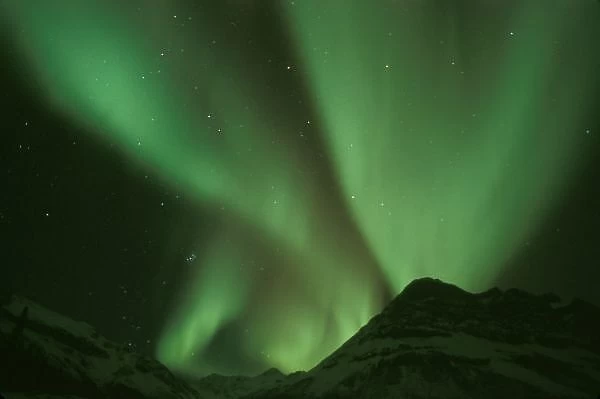 Northern lights, Aurora borealis on foothills of Brooks Range, Arctic National Wildlife Refuge