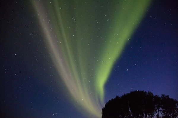 Northern Lights at Seljalandsfoss, Iceland