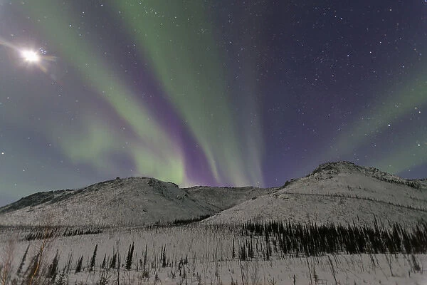Northern Lights shimmer over the White Mountain National Recreation Area north of