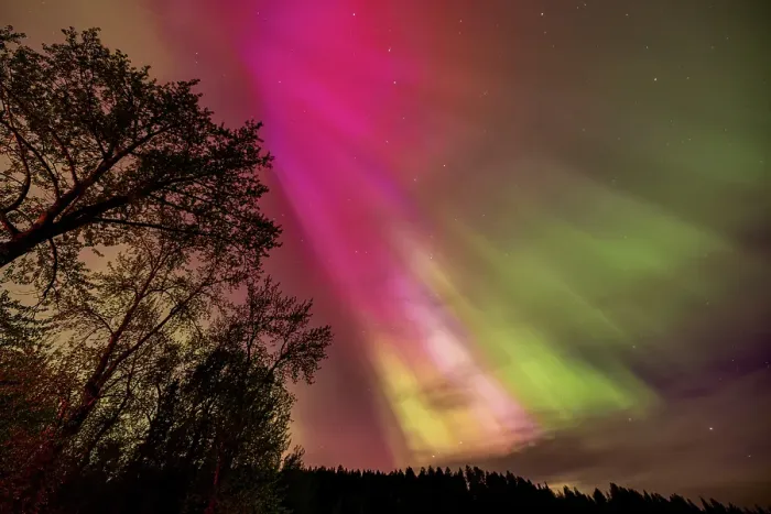 Framed Print : The Northern Lights shine bright in Whitefish, Montana, USA. (Editorial Use Only) Framed Print : The Northern Lights shine bright in Whitefish, Montana, USA. (Editorial Use Only)