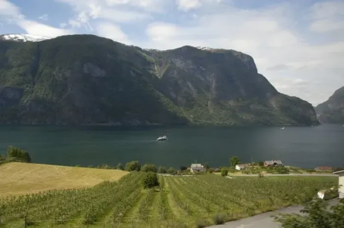 Framed Print : Norway, Aurland near Flam. View of Aurland Fjord an arm of Sogne Fjord, the longest Framed Print : Norway, Aurland near Flam. View of Aurland Fjord an arm of Sogne Fjord, the longest