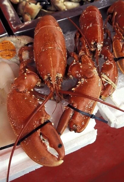 Norway, Bergen. Live lobster in the harbor market