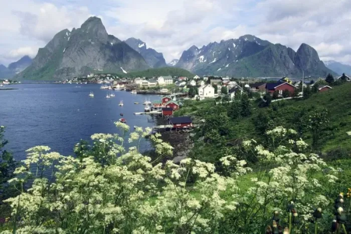 Framed Print : Norway, Lofoten Islands, Moskenesoya Island, Reine, above Arctic Circle, traditional fishing