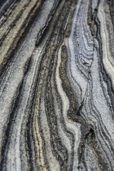 Norway, Nordland. Folds and intrusions forming intricate patterns in a rock formation
