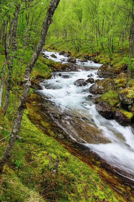Framed Print : Norway, Nordland, Tysfjord. Storelva, the river that flows from Stetind (Norway's national mountain)