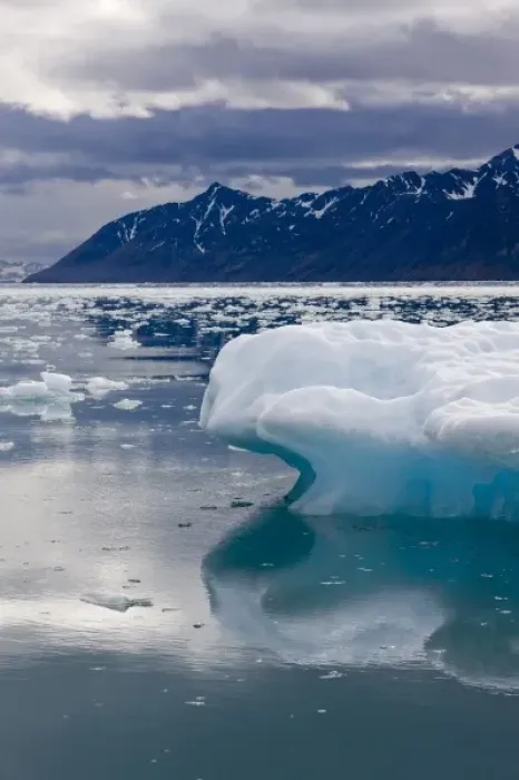 Framed Print : Norway, Svalbard, Spitsbergen, Icebergs floating near face of Lilliehook Glacier
