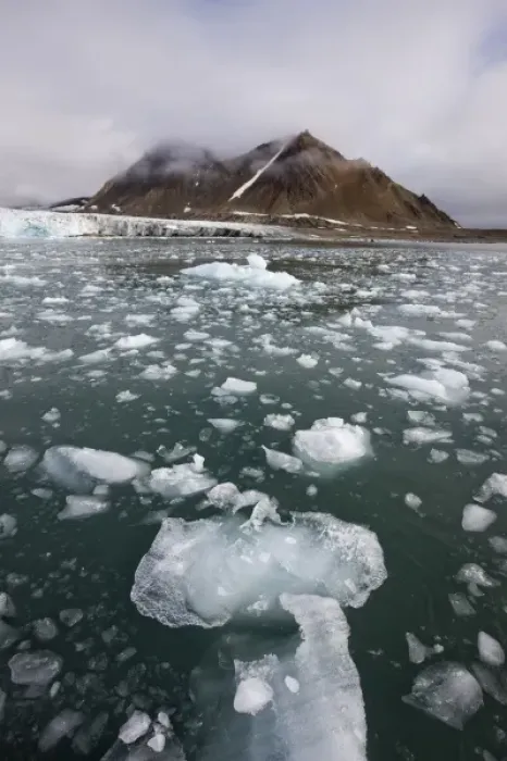 Framed Print : Norway, Svalbard, Spitsbergen Island, Icebergs float in sea near face of glacier