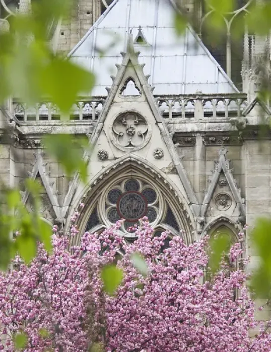 Framed Print : Notre Dame cathedral, Paris, France