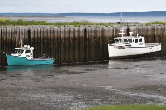 Framed Print : Nova Scotia, Canada. Fishing boats at low tide in Gilberts Cove Framed Print : Nova Scotia, Canada. Fishing boats at low tide in Gilberts Cove