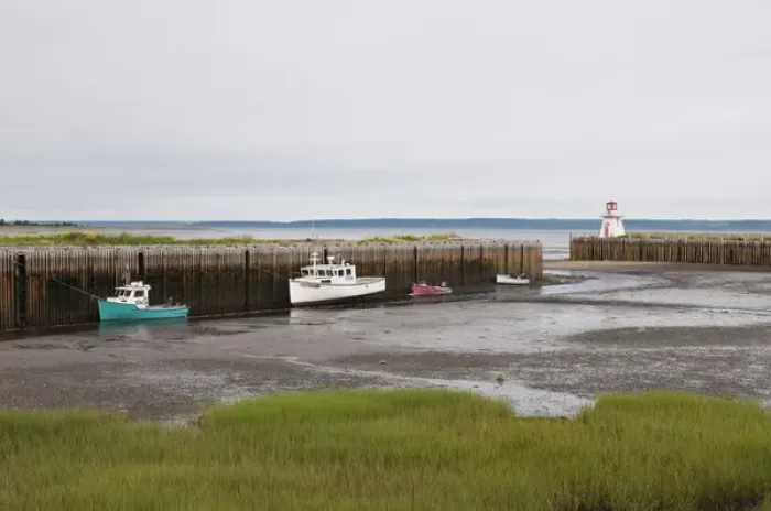 Framed Print : Nova Scotia, Canada. Fishing boats at low tide in Gilberts Cove Framed Print : Nova Scotia, Canada. Fishing boats at low tide in Gilberts Cove