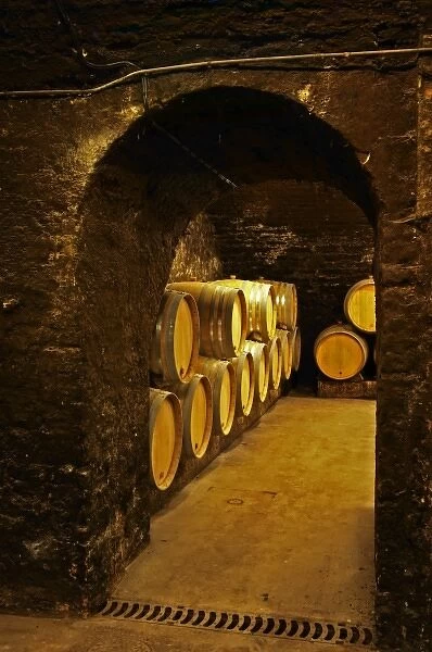 Oak barrels in the cellar of Domaine Gros Frere et Soeur in Vosne-Romanee