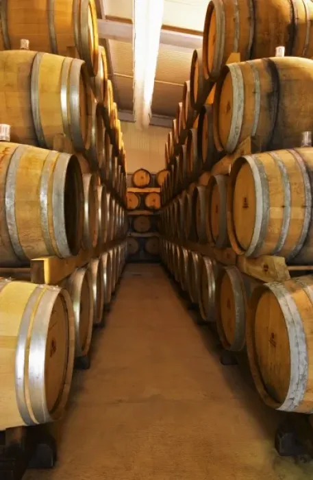 Framed Print : Oak barrels with fermenting wine. Champagne house Maison Giraud-Hemart, also called Framed Print : Oak barrels with fermenting wine. Champagne house Maison Giraud-Hemart, also called