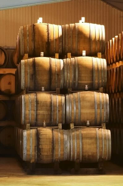 Oak barrels with fermenting wine. Giraud is specialised in oak aging champagne. Champagne
