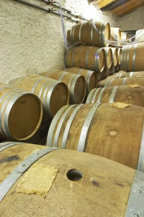 Framed Print : Oak barrique barrels with fermenting white wine, bung hole covered with jute Chateau Framed Print : Oak barrique barrels with fermenting white wine, bung hole covered with jute Chateau