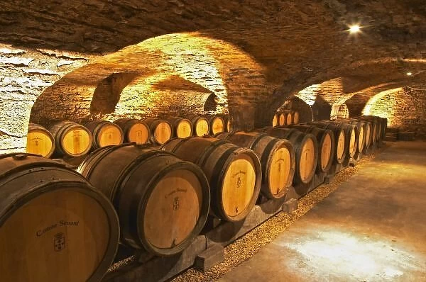 Oak barrles in the cellar at Domaine Comte Senard in Aloxe-Corton, Bourgogne