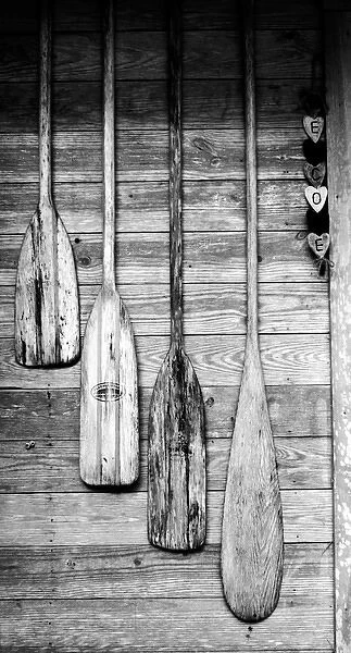 Oars are hung on wooden shed in Big Cypress, Florida, USA