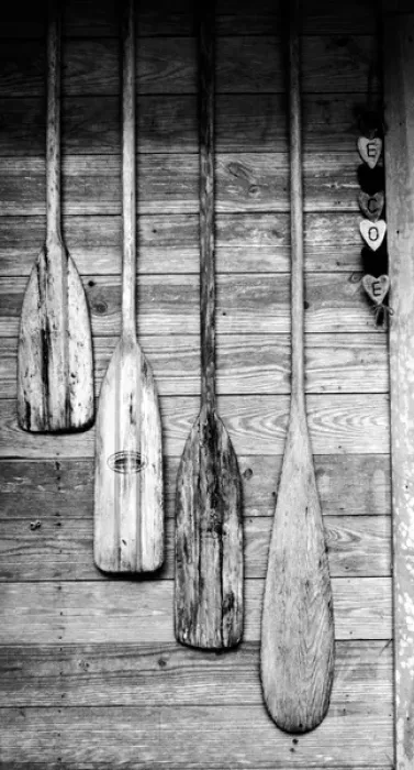 Framed Print : Oars are hung on wooden shed in Big Cypress, Florida, USA