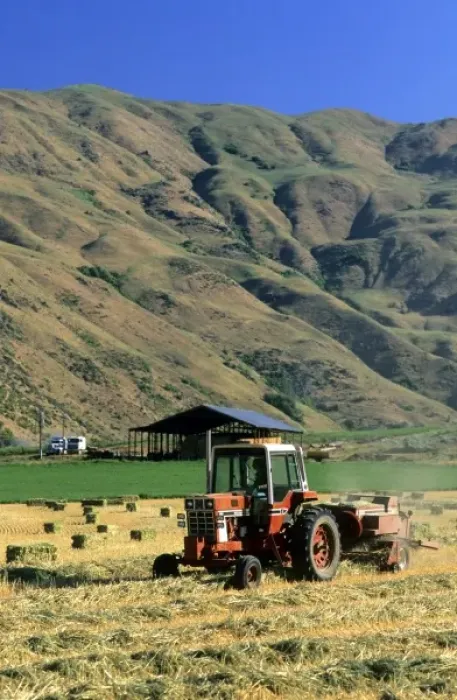 Framed Print : Oat hay harvest in Idaho