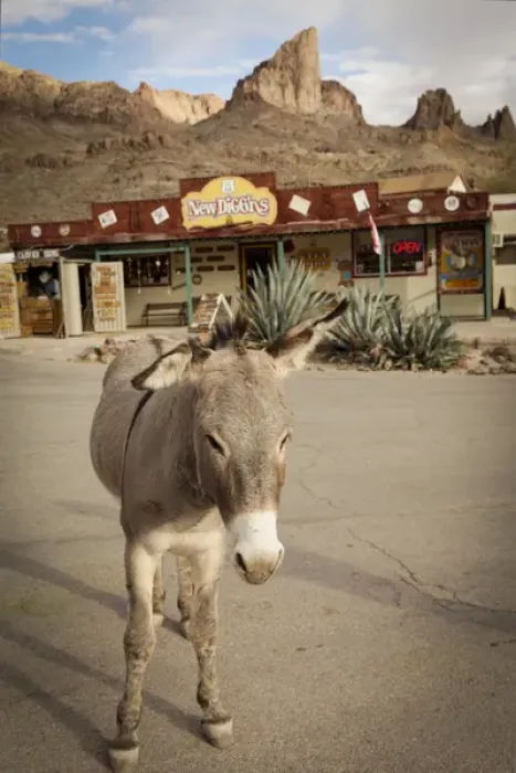 Framed Print : Oatman, Arizona, United States. Route 66