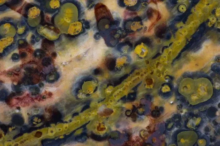 Framed Print : Ocean Jasper from Madagascar Framed Print : Ocean Jasper from Madagascar