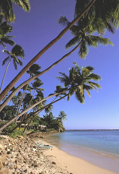 Oceania, Fiji, Coral Coast, Beach