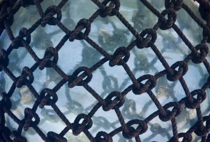 Framed Print : Oceania, French Polynesia, Moorea. Detailed view of a glass fishing float. Credit as
