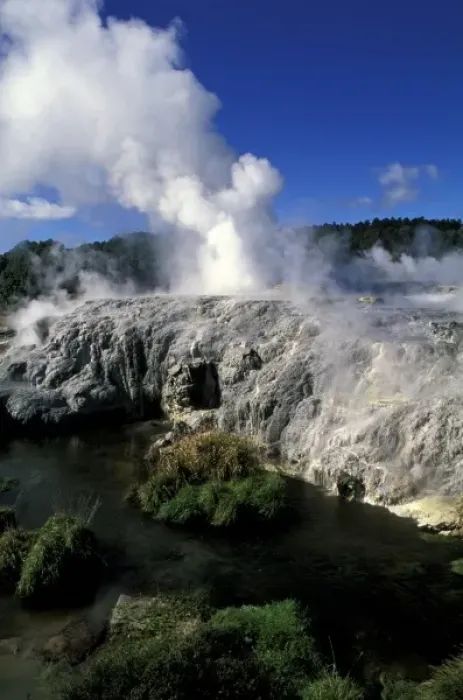 Framed Print : Oceania, New Zealand, Rotorua. The Famous Pohutu Geysers that make up the Whakarewarewa Framed Print : Oceania, New Zealand, Rotorua. The Famous Pohutu Geysers that make up the Whakarewarewa