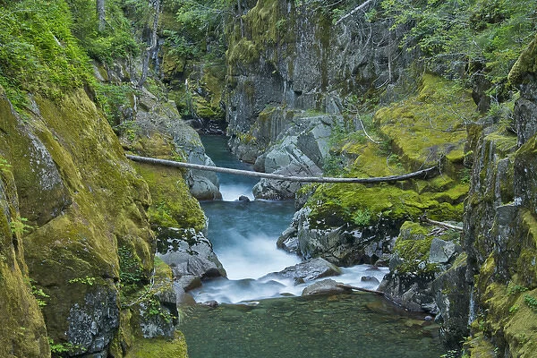 Ohanapecosh River; Silver Falls; Mount Rainier National Park; Washington; USA