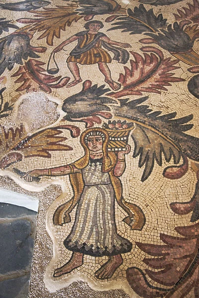 Old Baptistery floor mosaic in Moses Memorial Church, Amman, Jordan