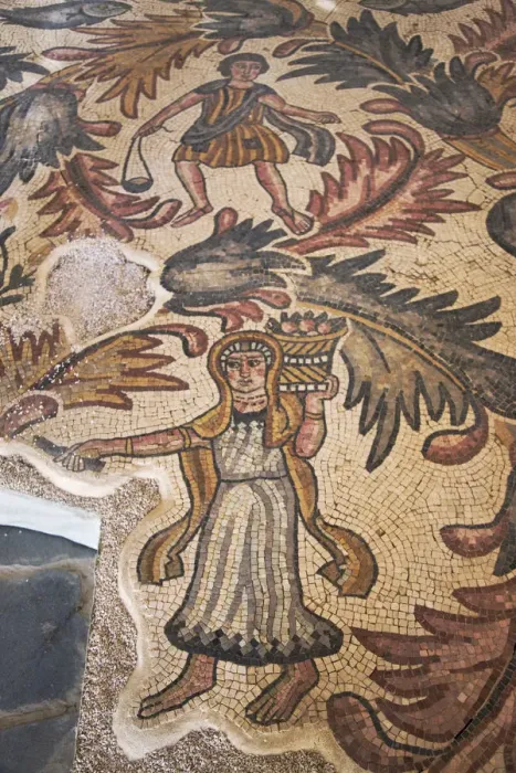 Framed Print : Old Baptistery floor mosaic in Moses Memorial Church, Amman, Jordan Framed Print : Old Baptistery floor mosaic in Moses Memorial Church, Amman, Jordan