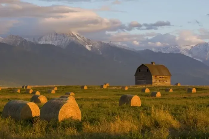Framed Print : Old barn framed by hay bales and dramatic Mission Mountain Range in Montana