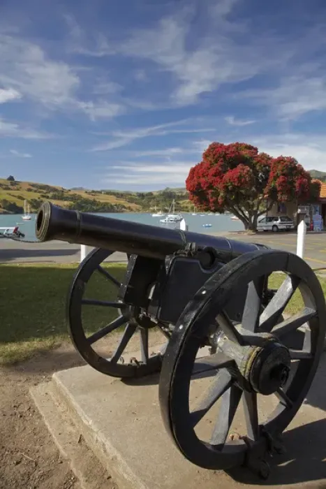 Framed Print : Old cannon and pohutukawa tree, Akaroa, Banks Peninsula, Canterbury, South Island Framed Print : Old cannon and pohutukawa tree, Akaroa, Banks Peninsula, Canterbury, South Island