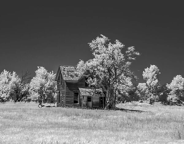 Old deserted farm house with plow
