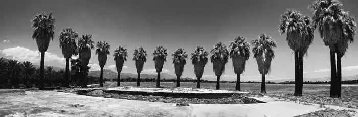 Framed Print : Old Estate, Date Palms, Coachella Valley, California, USA Framed Print : Old Estate, Date Palms, Coachella Valley, California, USA