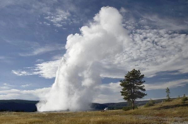 Old Faithful erupting, Yellowstone NP, Wyoming