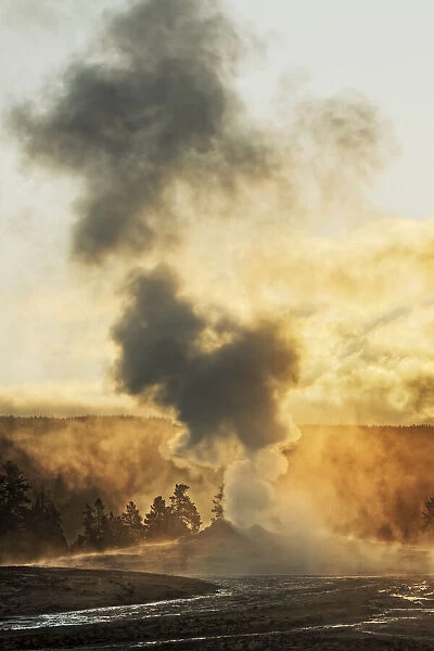 Old Faithful steaming in early morning, Upper Geyser Basin, Yellowstone National Park