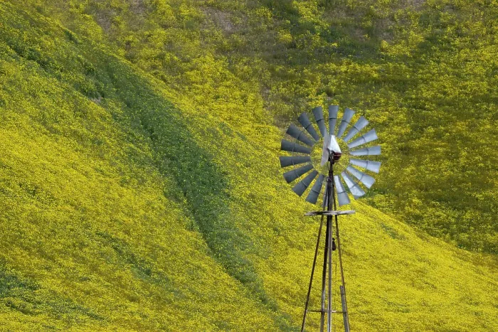 Framed Print : An old fashioned windmill stands in front of a flower covered hillside in the California Coast Range Framed Print : An old fashioned windmill stands in front of a flower covered hillside in the California Coast Range