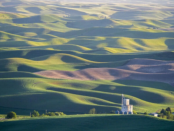 Old silo and rolling wheatfields as seen from Steptoe Butte state park