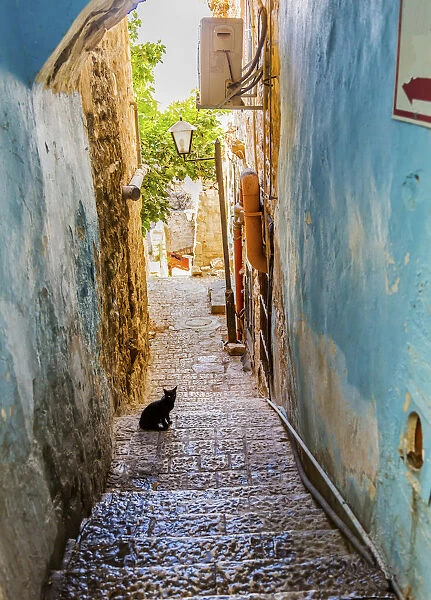Old Stone Street Alleyway Black Cat Safed Tsefat Israel Many famouse synagogues